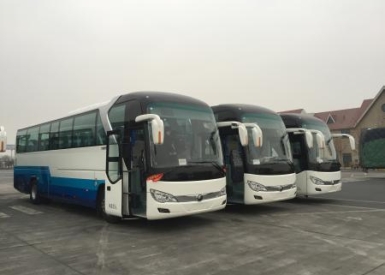  阿布扎比旅遊巴