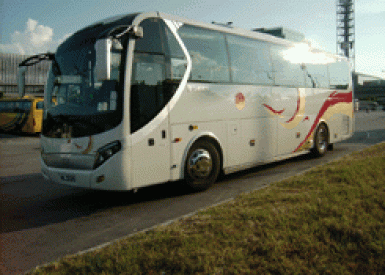 香港租45 座旅遊巴租車包車