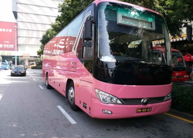 澳門租37座旅遊巴租車包車